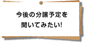 今後の分譲予定を聞いてみたい！